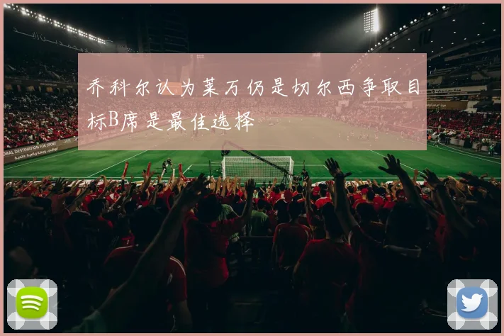 乔科尔认为莱万仍是切尔西争取目标B席是最佳选择