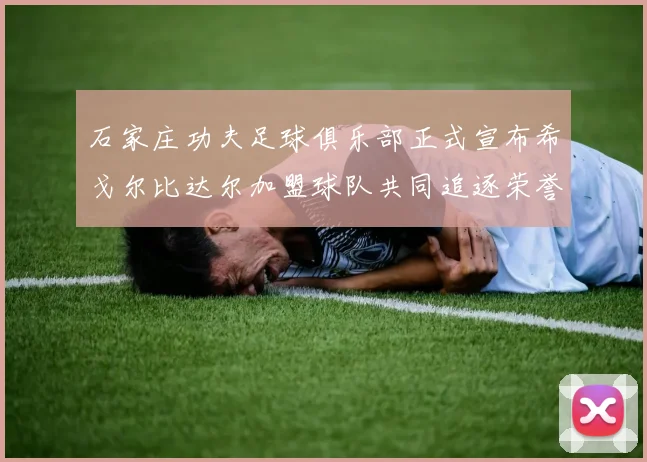 石家庄功夫足球俱乐部正式宣布希戈尔比达尔加盟球队共同追逐荣誉