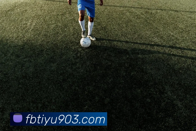 FB体育APP 封面图